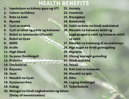 Paragis And Its Health Benefits